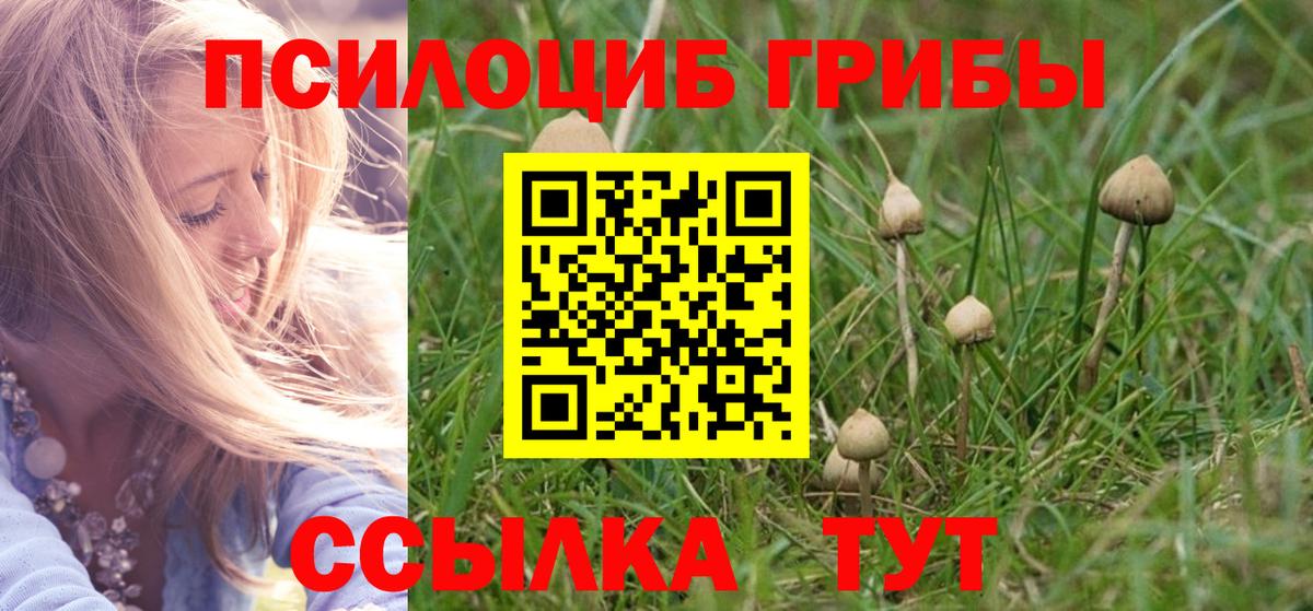 Псилоцибиновые грибы GOLDEN TEACHER Петрозаводск