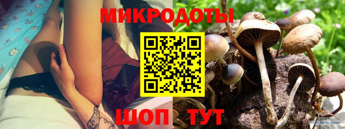 дарнет шоп  Псилоцибиновые грибы MAGIC MUSHROOMS  Вход с VPN  Петрозаводск 